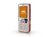 W800c