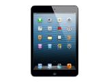 iPadMini WiFi+Cellular
