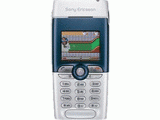 T310