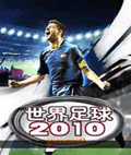 世界足球2010