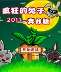 疯狂的兔子2011