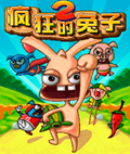 疯狂的兔子2