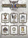 国际象棋大师