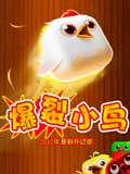 爆裂小鸟