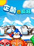 企鹅也疯狂