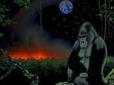 宇宙．地球．动物