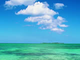 大海