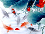 鲤鱼戏水