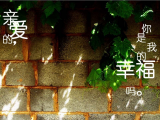 你是我的幸福吗