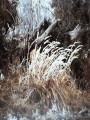 风景