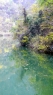 风景