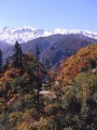 风景