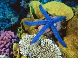 海底世界