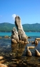 风景