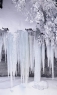雪景