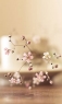 粉红色的花