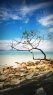 海边