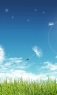 蒲公英