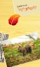 松鼠