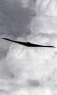 B-2隐形轰炸机