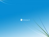windows8系统壁纸