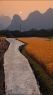 风景