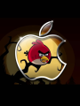 愤怒的小鸟