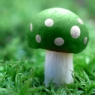绿色蘑菇