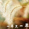 一年又一年