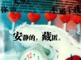 安静的，藏匿