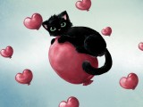 黑猫
