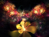 炫彩花幻
