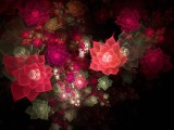炫彩花卉