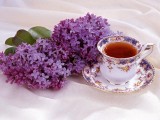 茶艺