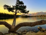 黄昏景色