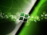 windows标志