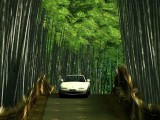 白色跑车