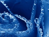 水泡