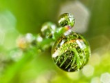 水珠映射