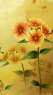 手绘雏菊