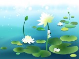 荷塘