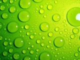 点点水珠