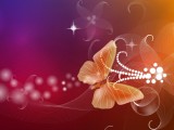 梦幻花蝶