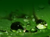 清晰小水珠