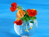瓶中花