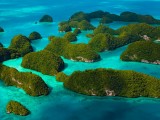 绿色海景