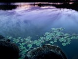 仲夏景色