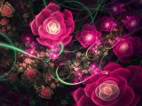 炫彩花纹