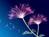 梦幻花朵
