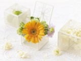 花卉礼品